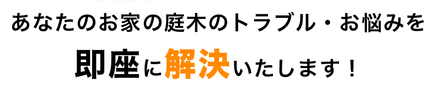 あなたのお家の庭木のトラブル・お悩みを 即座に解決いたします！