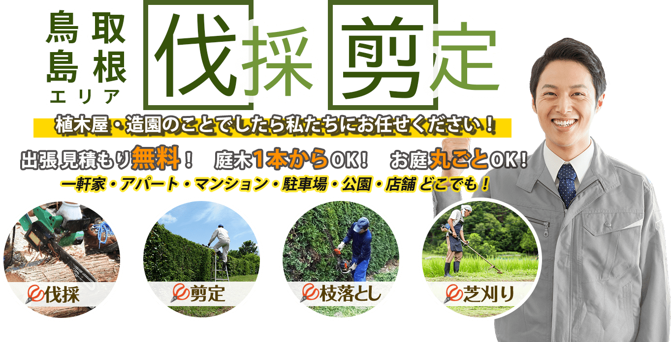 お庭のお手入れなら伐採剪定専門店オーモリシャへまるごとお任せ！低価格で親切丁寧！20年の実績が信頼の証