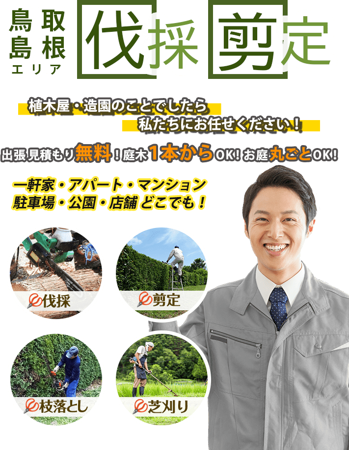 お庭のお手入れなら伐採剪定専門店オーモリシャへまるごとお任せ！低価格で親切丁寧！20年の実績が信頼の証