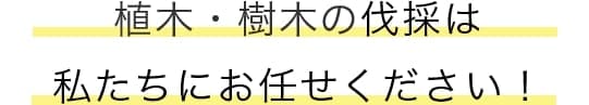 庭木・植木の剪定・刈込は私たちにお任せください！